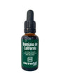Damiana de California (Extracto Fluido) - 30mL
